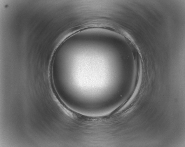 X0000067930803200604131421