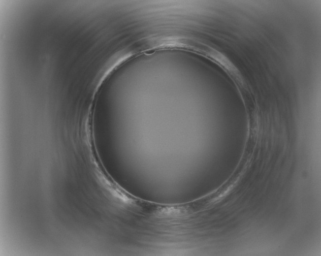 X0000067930806200604131421