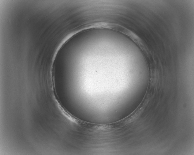 X0000067930808200604131421