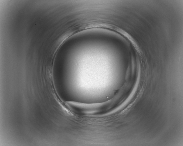 X0000067930809200604131421