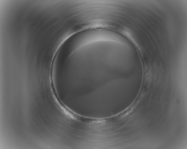 X0000067930810200604131421
