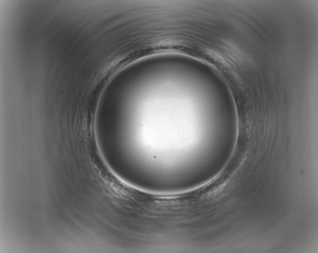 X0000067930825200604131420