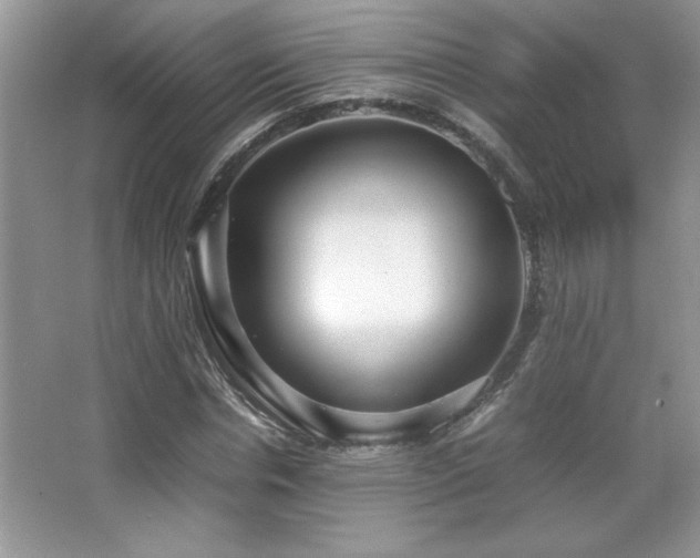 X0000067930826200604131420