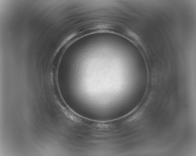 X0000067930827200604131420
