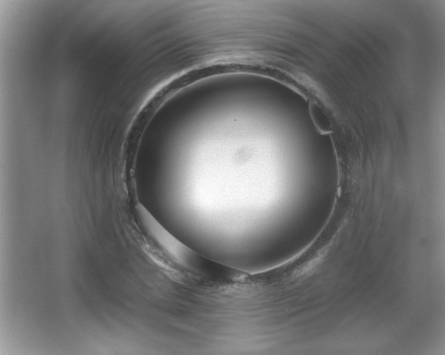 X0000067930830200604131420