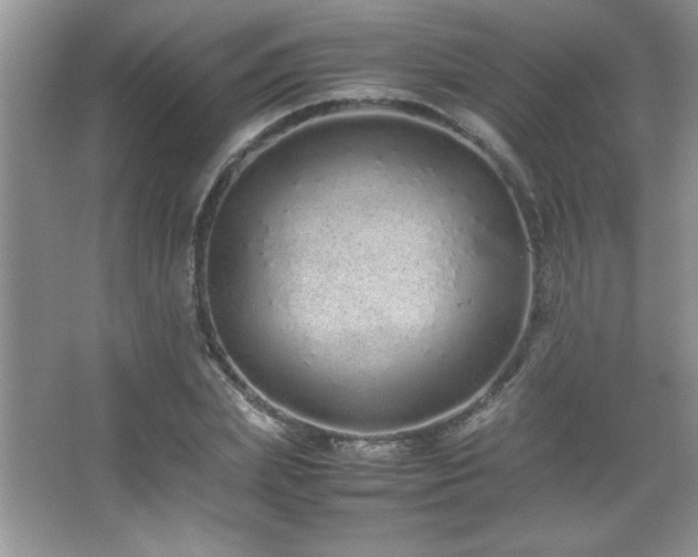 X0000067930831200604131420