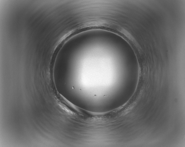 X0000067930834200604131420
