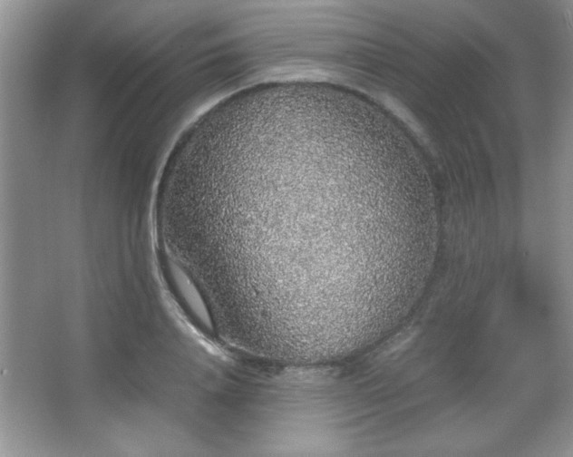 X0000067930840200604131420