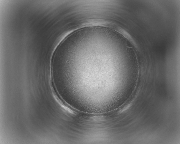 X0000067930844200604131420