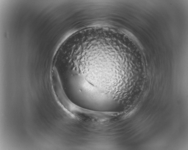 X0000067930855200604131421