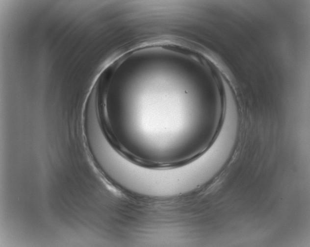 X0000067930858200604131421