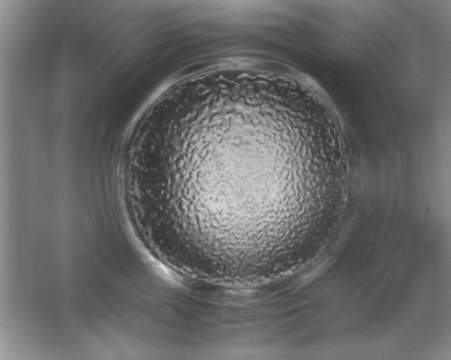 X0000067930859200604131421