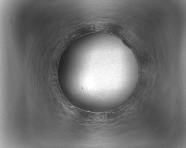 X0000067930865200604131420