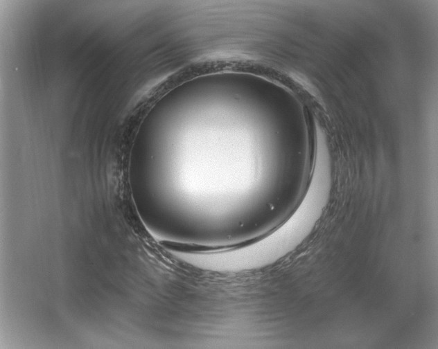 X0000067930872200604131420
