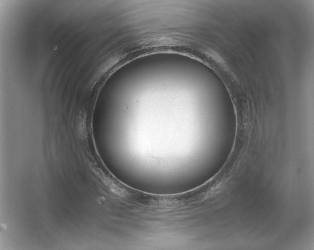X0000067930873200604131420