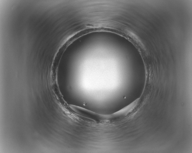 X0000067930876200604131420