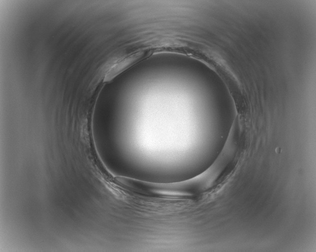 X0000067930881200604131420