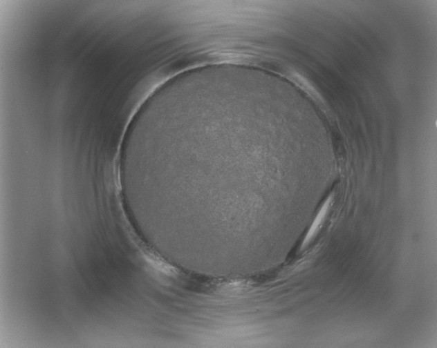 X0000067930891200604131420