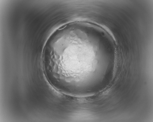 X0000067930911200604131419