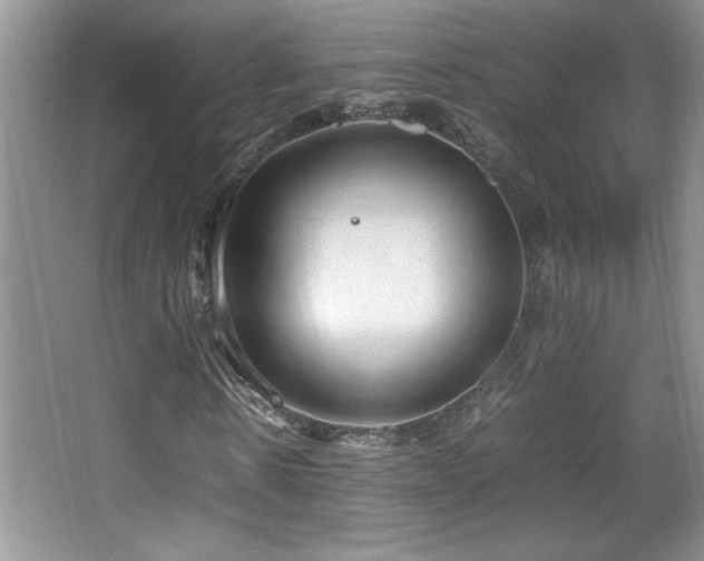 X0000067930914200604131418