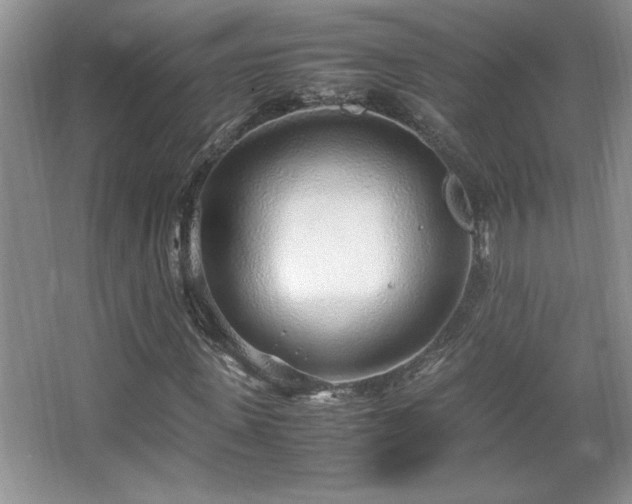 X0000067930915200604131418