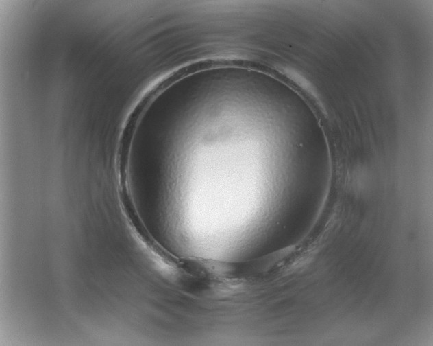 X0000067930935200604131419