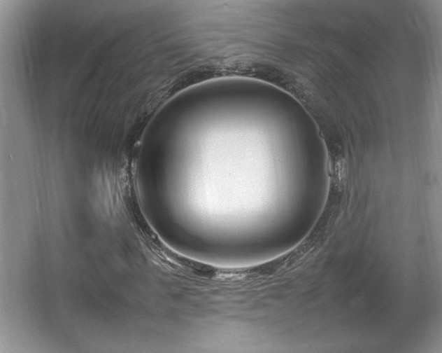 X0000067930963200604131418