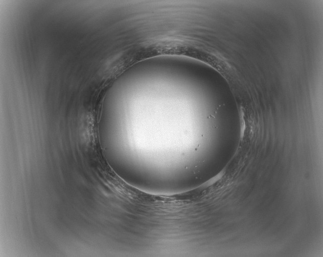 X0000067930964200604131418