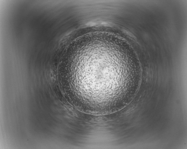 X0000067930966200604131418