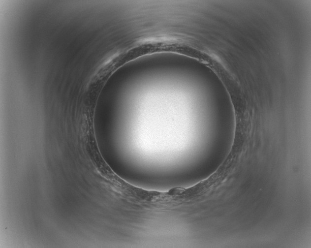 X0000067930967200604131418