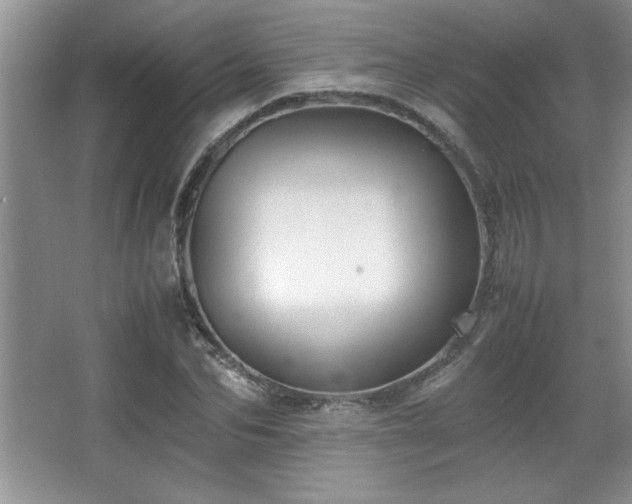 X0000067930974200604131418