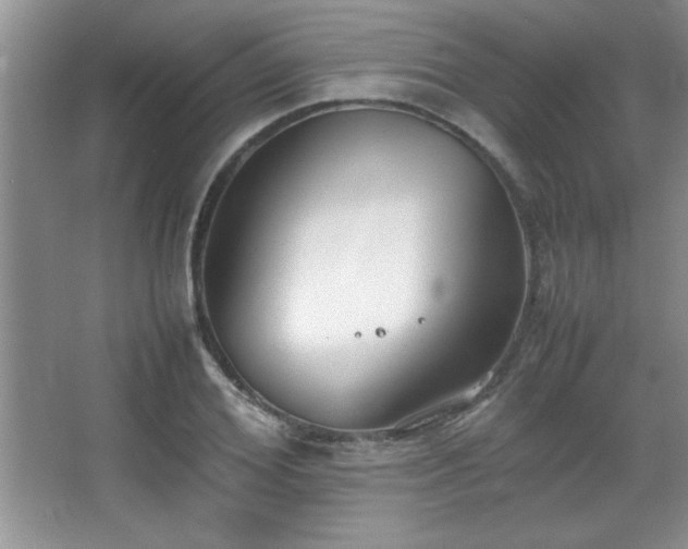 X0000067930980200604131418