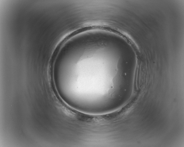 X0000067930983200604131418