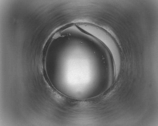 X0000067930984200604131418