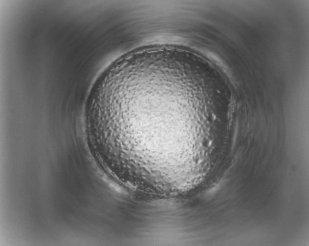 X0000067930990200604131418
