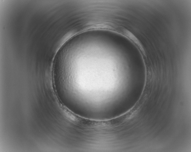 X0000067931002200604131418