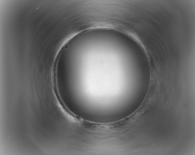 X0000067931003200604131418