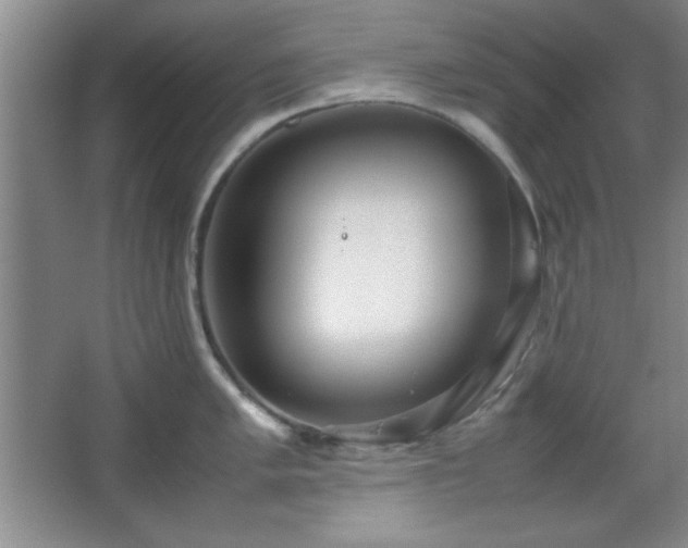 X0000067931005200604131418