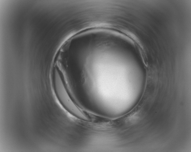 X0000067931007200604131418
