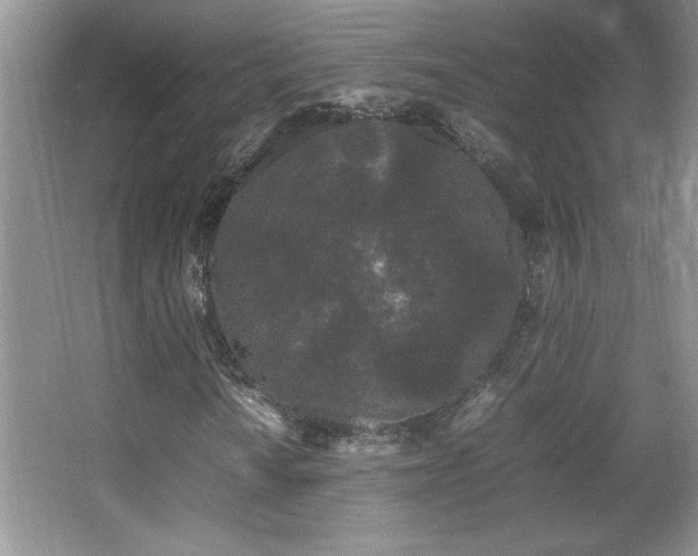 X0000067931010200604131417