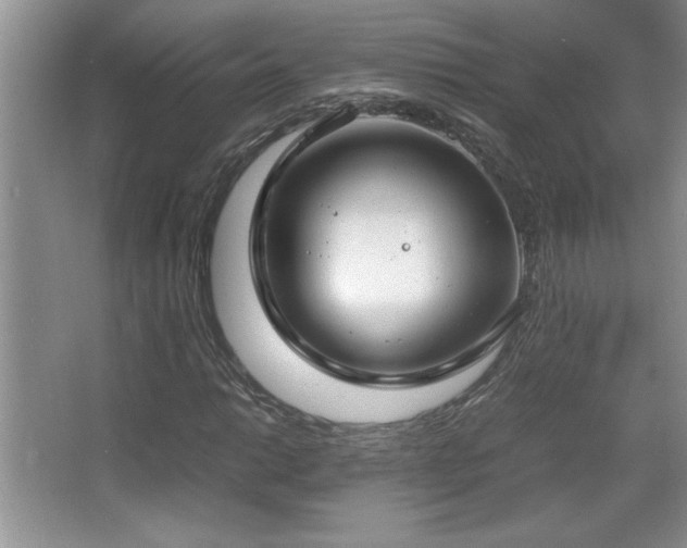 X0000067931014200604131417