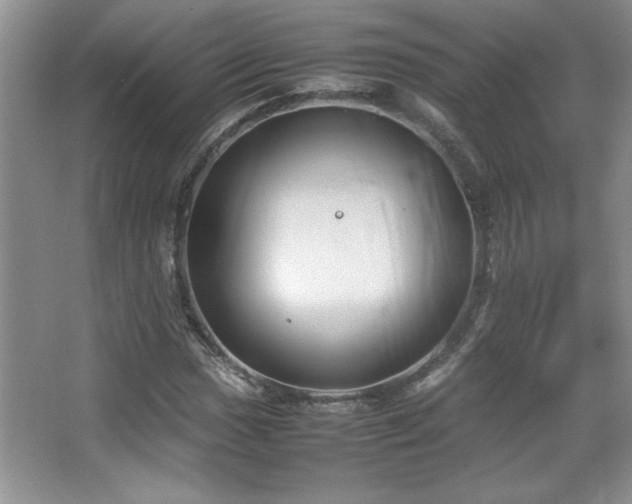 X0000067931017200604131417