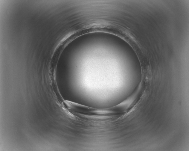 X0000067931018200604131417