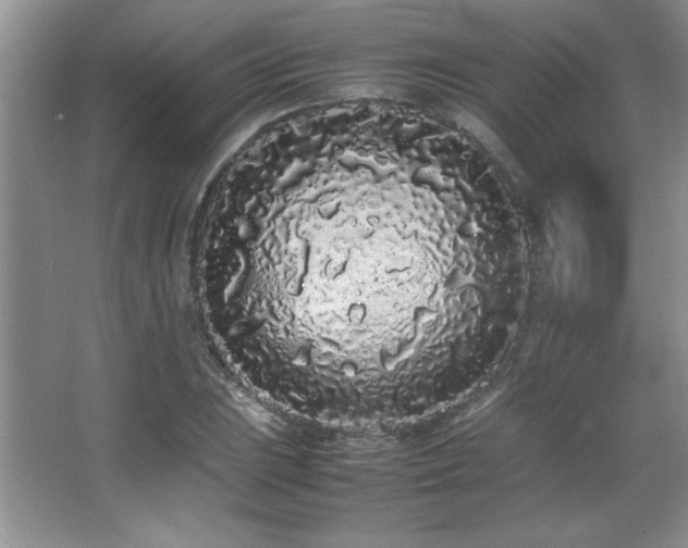 X0000067931023200604131417