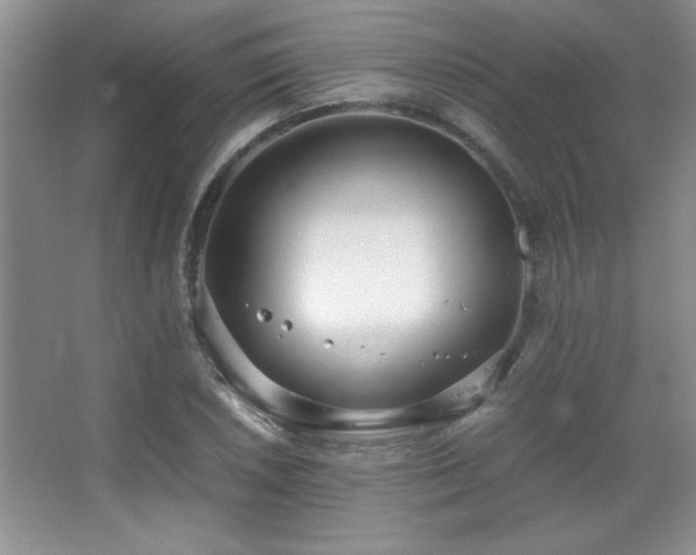 X0000067931026200604131417