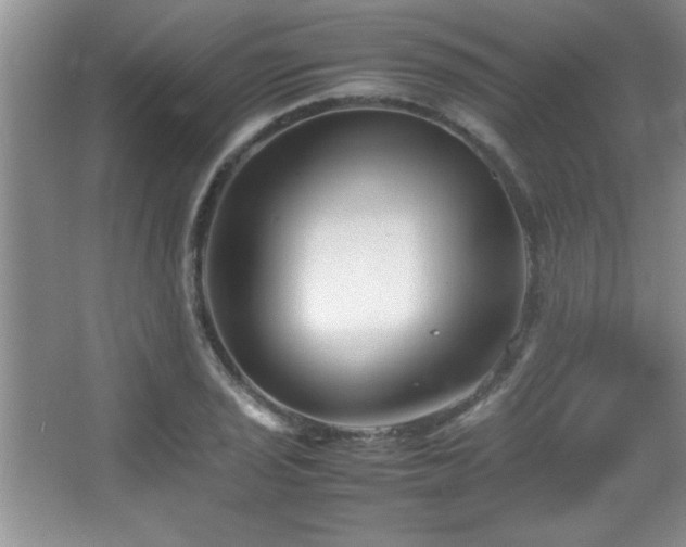 X0000067931029200604131417