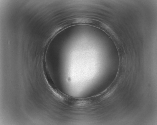 X0000067931033200604131417