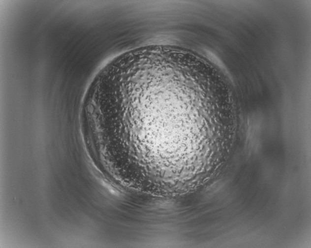 X0000067931035200604131417