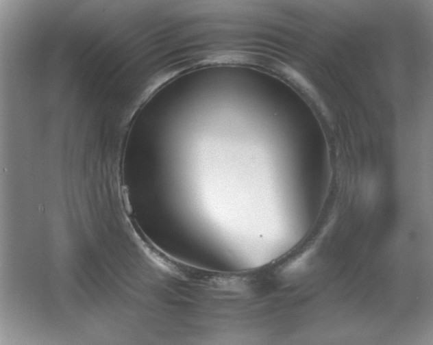 X0000067931041200604131417