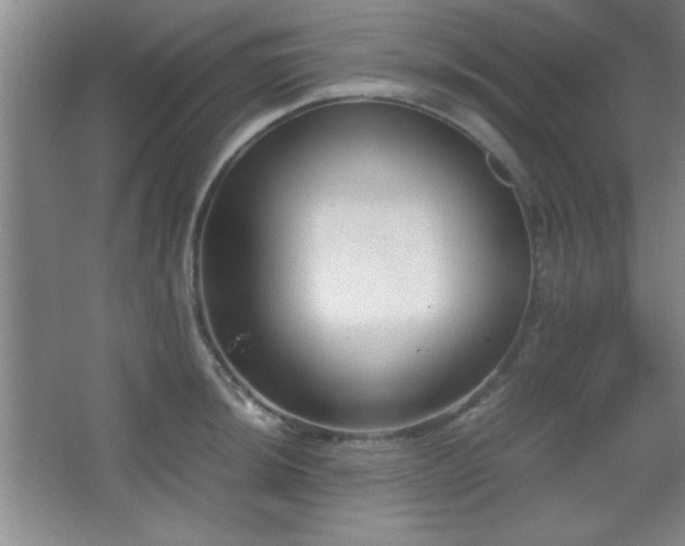 X0000067931044200604131417